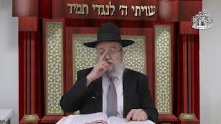 דף היומי בחצי שעה - עירובין דף צ"ט