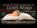 8.5 Hours! The 4 Gospels of Matthew, Mark, Luke & John KJV Fades to Black Screen after 1 Min.