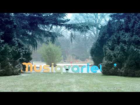 Kanye West vs. The Strokes - All Falls Under (Carlos Serrano Mashup)