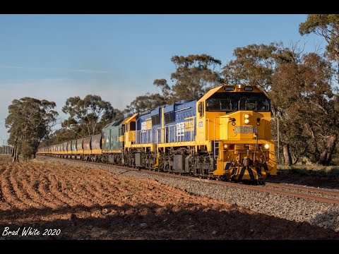 Trackside: XR554, XR557 and G529 on 9148 Charlton grain- 11/10/20