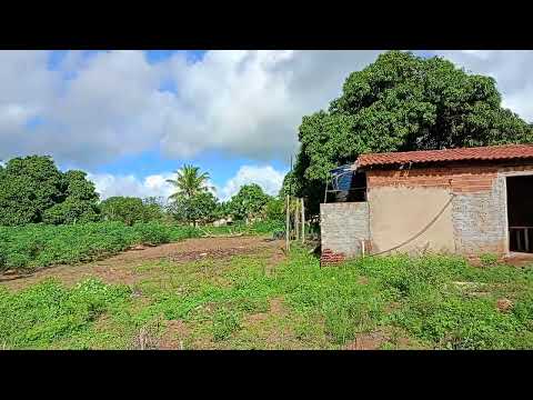 BORA TOMAR CAFÉ RANCHO DO CARRETEIRO BELÉM ALAGOAS BRASIL (3)