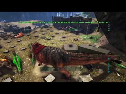 Meat run server 194 TU