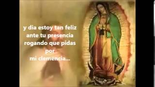 Madre Mia De Guadalupe