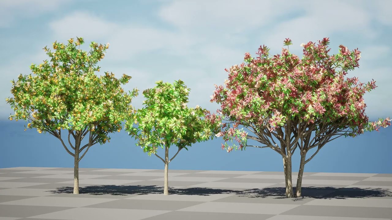 &aacute;rbol de n&iacute;spero Modelo 3D