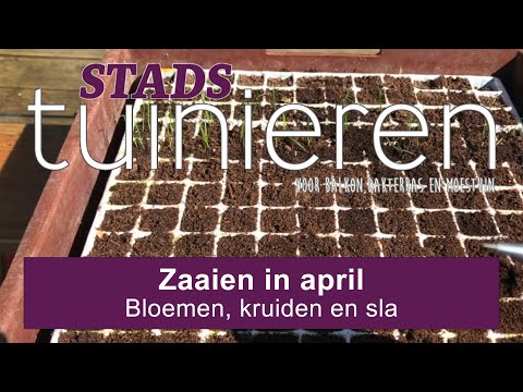 Stadstuinieren - Zaaien in april - Bloemen, kruiden en sla #moestuin