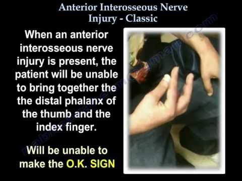 Anterior Interosseous Nerve Injury Classic - Everything You Need To Know - Dr. Nabil Ebraheim