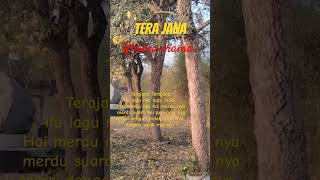 Download lagu Terajana - Rhoma irama #shorts#nostalgia #lagu #dangdut @Radiojaddoels mp3