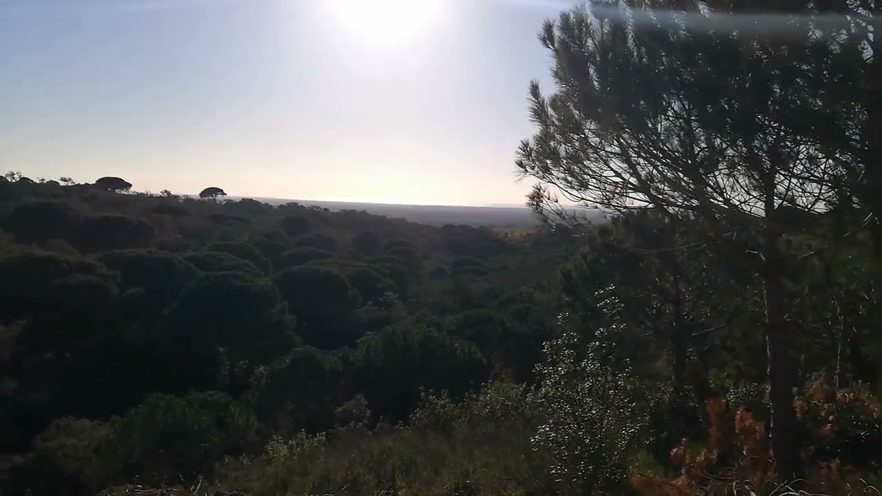 Vídeo do imóvel