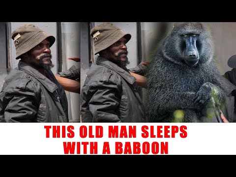 Ep 513 This Old Man Sleeps With A Baboon