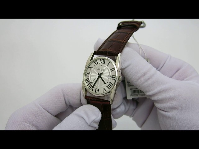 Чоловічий срібний годинник 0541 Відео огляд