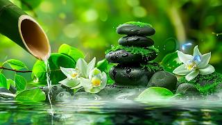 Beautiful Healing Music 2026 🌿 Stress Relief & Deep Relaxation Sounds