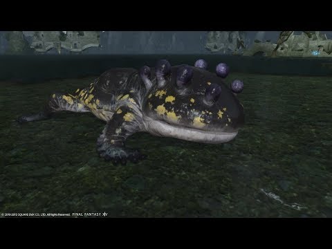 FFXIV Hunting Log Archer Rank 4 - Salamander