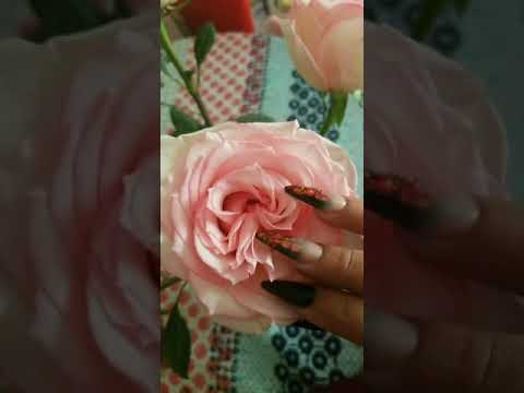 28 de octubre de 2019