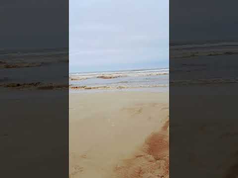 BOA TARDE FAMÍLIA VOADEIRA SEJAM TODOS BEM VINDOS A PRAIA DE CIDREIRA RS