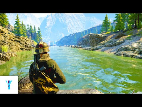 Vigor Feels Great in 2025!