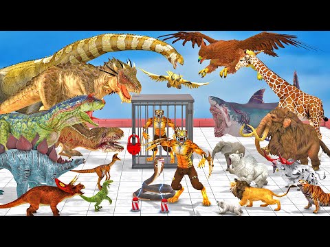 Saber Tooth Tiger vs Dinosaurs vs Animals Speed Race Zigzag Down Course! Death Run Animal Revolt