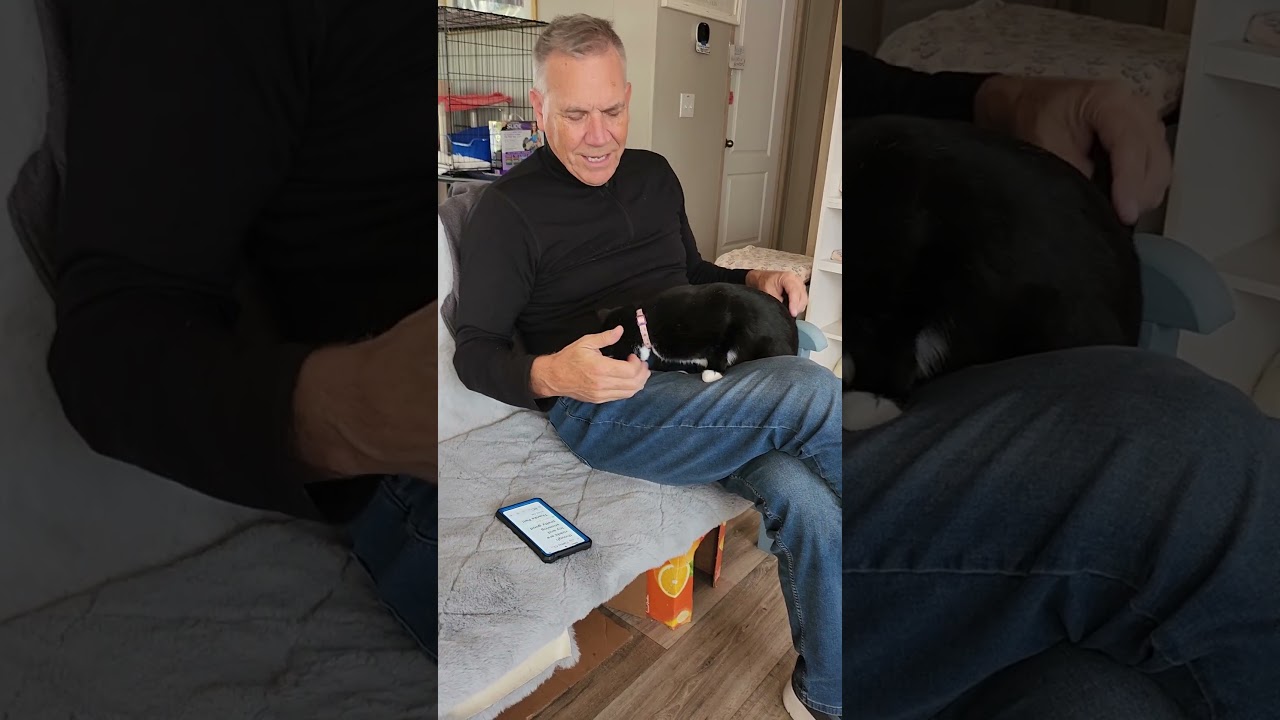 Enlarge Blossom, a Adoptable mixed breed in Hampstead, NC video 4/5