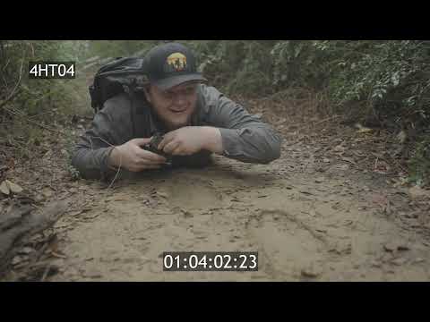 Danger's Afoot — thumbnail