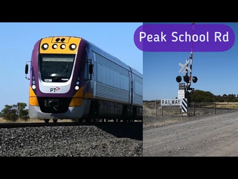 Trains at Peak School Rd (Little River)  - January 2021