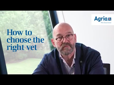 Vet Advice | How to Choose the Right Vet