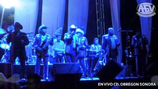 EL SHAMPOO GRUPO LABERINTO 2015