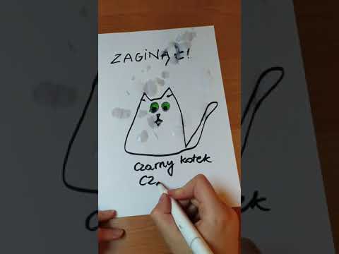 Zobacz tajemnice zaginięcia mojego kotka Czarka