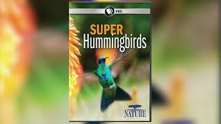 Steve Forbert &amp; George Naha Hummingbird Conversation (Live on 6/20/21)