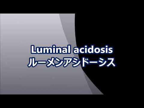 , title : 'Ruminal acidosis　ルーメンアシドーシス'