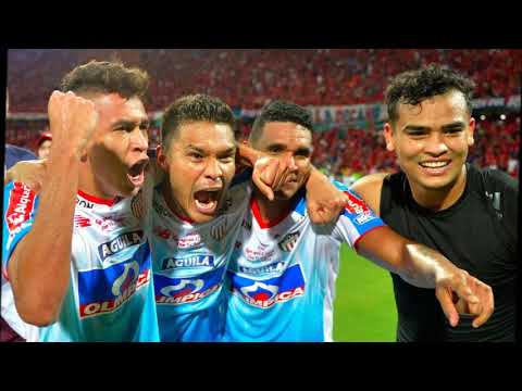 Mosaico Tiburon 2019