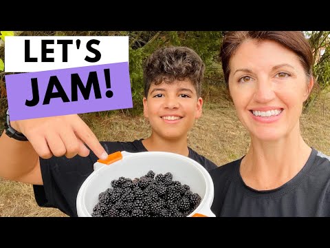 How to Identify WILD BLACKBERRIES & How to Make BLACKBERRY JAM