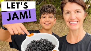 How to Identify WILD BLACKBERRIES & How to Make BLACKBERRY JAM