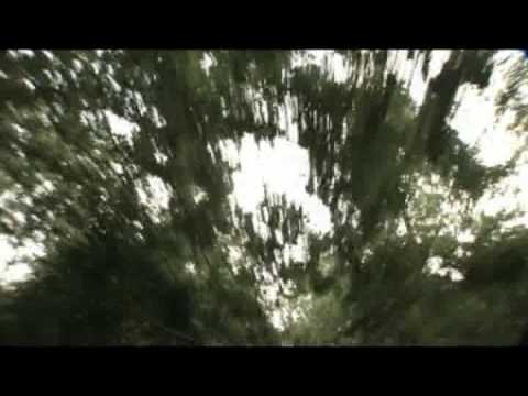 BEYOND BORDERS TRAILER