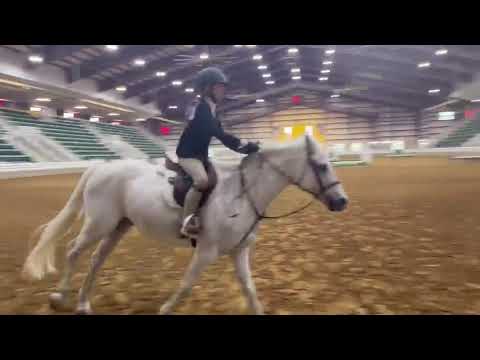 Texas Moonshine video 1