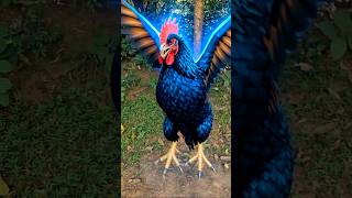 Download lagu Brothers Dancing to Chicken Banana Song Turn Into Real Chickens! ๐๐ mp3 Download lagu Brothers Dancing to Chicken Banana Song Turn Into Real Chickens! ๐๐ mp3