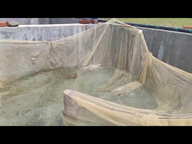 Slideshow 1 ( YouTube Video )