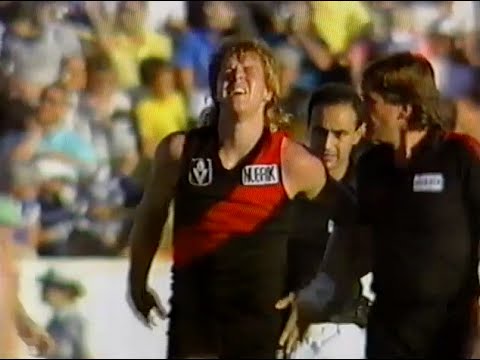1988 VFL Rd 5 Geelong v  Essendon @ Kardinia Park