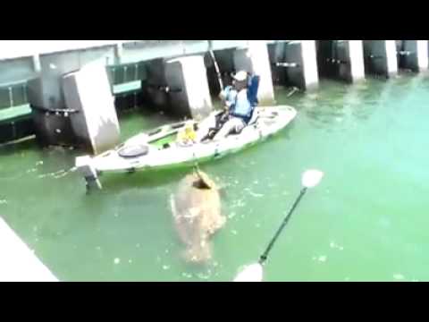 ¡IMPRESIONANTE CAPTURA DE PESCA!