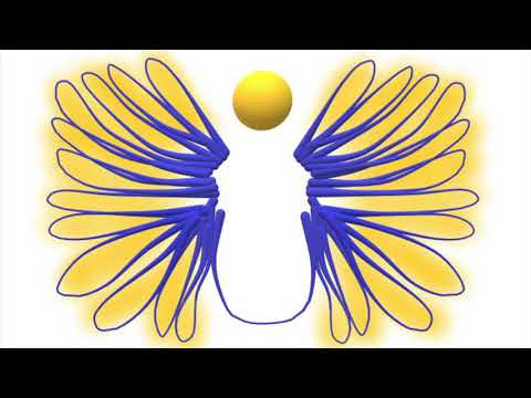 1st Corinthians Amplified Bible