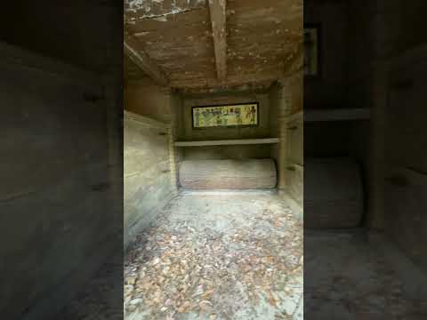 Scary abandoned crypt! #trending #history #scary #cemetery #graveyard #ghost