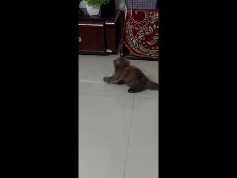 Arushi fun time!!!!!