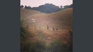 I Fell off the Edge of My Mind