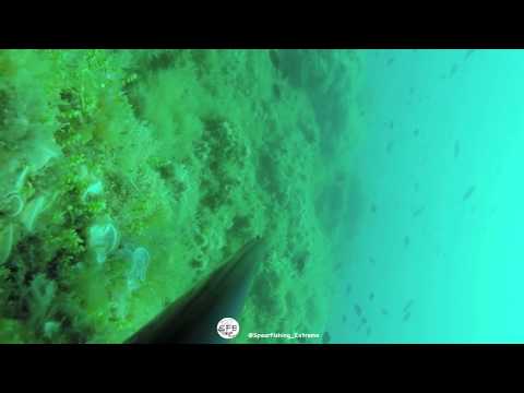 Barracuda XXL - pesca in apnea