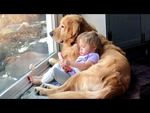 Quand votre bébé est entouré de ses meilleurs amis