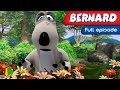 Bernard Bear 52 A Day In The Country 2 Full Episode