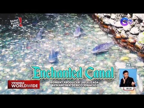 Kanal sa Kiamba sa Sarangani, pinamamahayan ng naglalakihang isda! | Dapat Alam Mo!