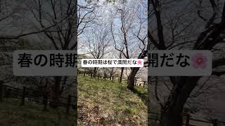 春夏秋冬を楽しもう🌸 #movie #music #shortvideo #夫婦 #日常 #田舎暮らし #shorts #anime #音楽 #アニメ