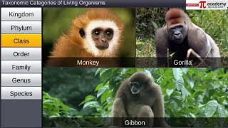 Living World 03 - Taxonomic Categories | Biology | Animation | 11th | NEET | Pi Academy