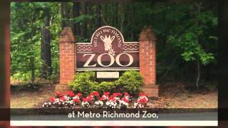 Super 8 Midlothian/Richmond Area - Local Attractions