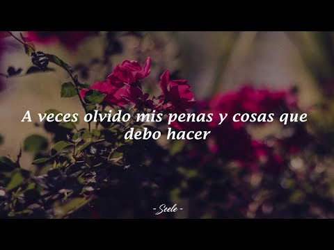 Privilegios - MissaSinfonia [Letra]