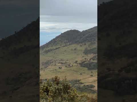 Páramo de Santa Isabel Tolima 🏔️